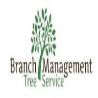 Branch Management Tree Service, LLC