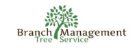 Engineering Specialists Branch Management Tree Removal in  